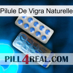 Natural Vigra Pill 40